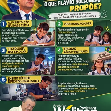 Publicação de Professor Weliton sobre Flávio Bolsonaro em 20/10/2026