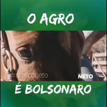 Publicação de Neto sobre Flávio Bolsonaro em 18/10/2026
